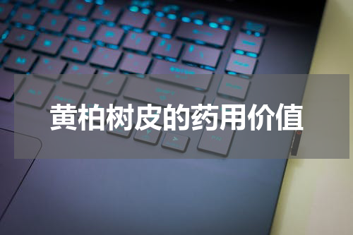 黄柏树皮的药用价值