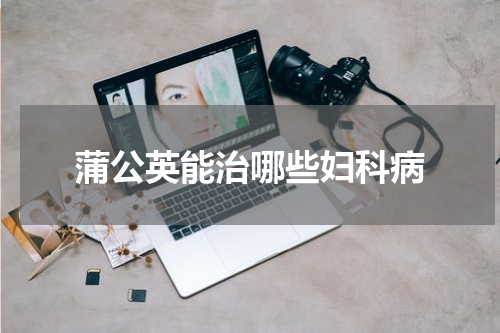 蒲公英能治哪些妇科病