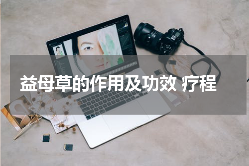 益母草的作用及功效 疗程