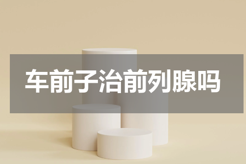 车前子治前列腺吗