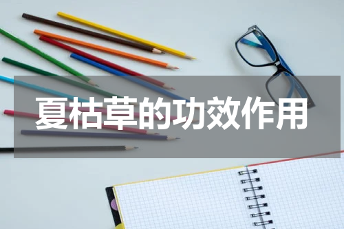夏枯草的功效作用