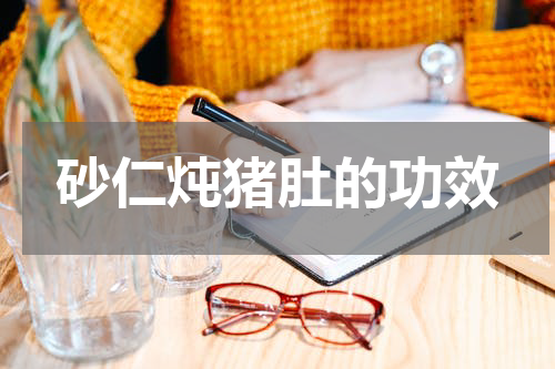 砂仁炖猪肚的功效