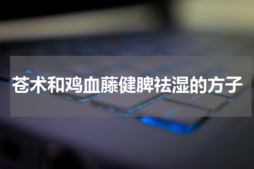 苍术和鸡血藤健脾祛湿的方子