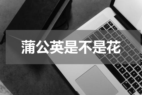 蒲公英是不是花