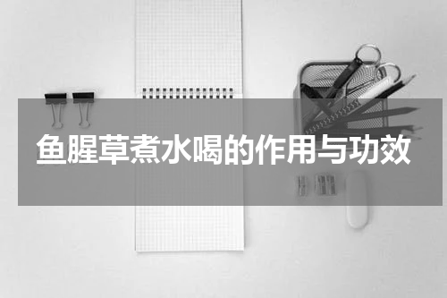 鱼腥草煮水喝的作用与功效