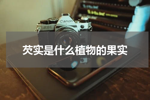 芡实是什么植物的果实