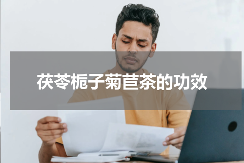 茯苓栀子菊苣茶的功效