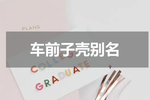 车前子壳别名