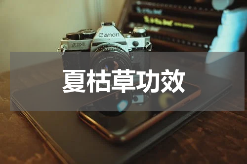 夏枯草功效