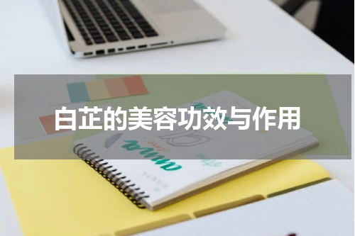 白芷的美容功效与作用