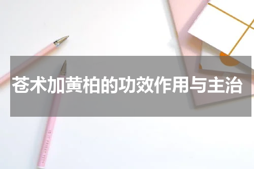 苍术加黄柏的功效作用与主治