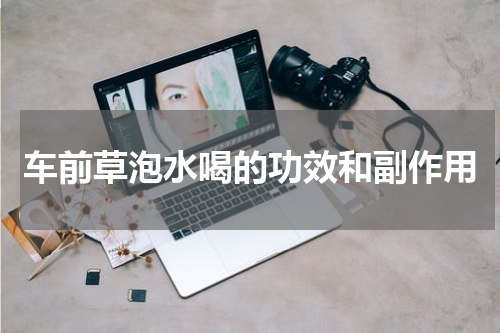 车前草泡水喝的功效和副作用
