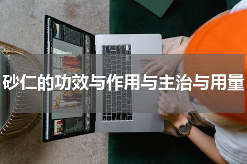 砂仁的功效与作用与主治与用量