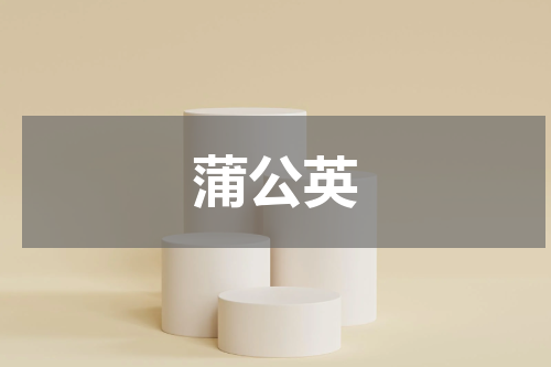 蒲公英