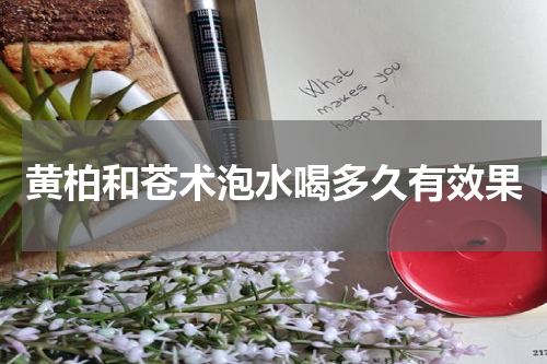 黄柏和苍术泡水喝多久有效果