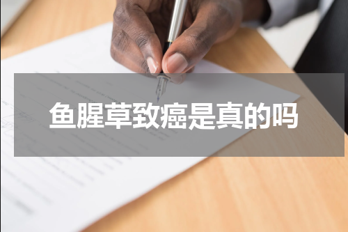 鱼腥草致癌是真的吗