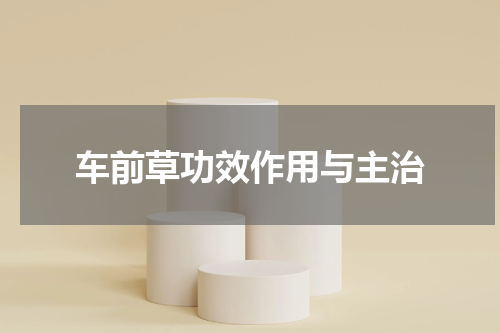 车前草功效作用与主治