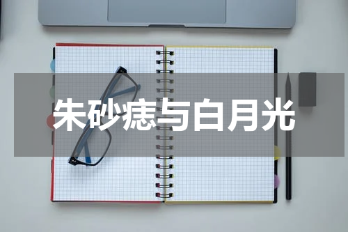 朱砂痣与白月光