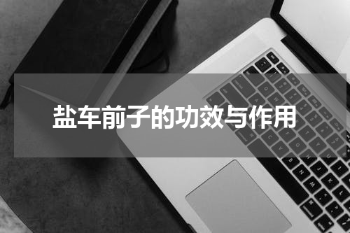 盐车前子的功效与作用