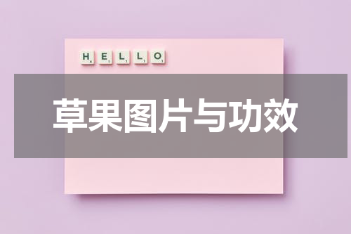 草果图片与功效
