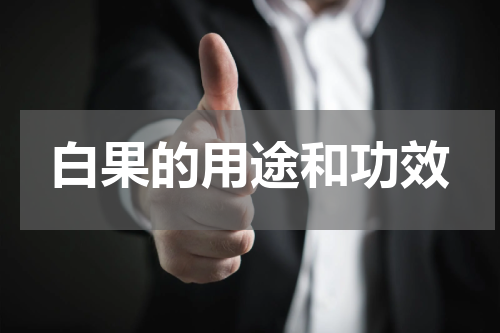 白果的用途和功效