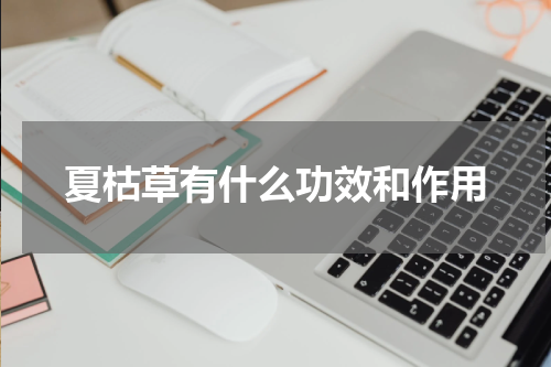 夏枯草有什么功效和作用