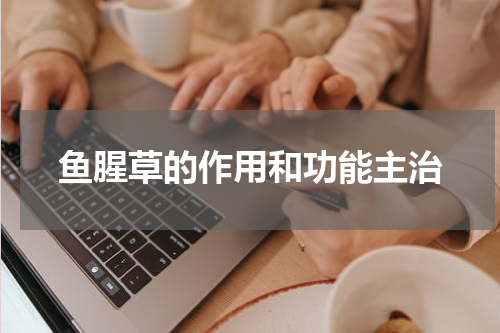 鱼腥草的作用和功能主治