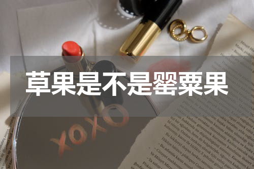 草果是不是罂粟果