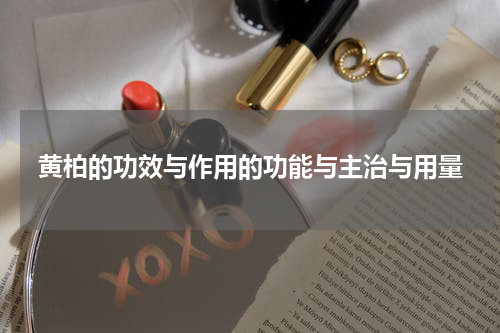 黄柏的功效与作用的功能与主治与用量