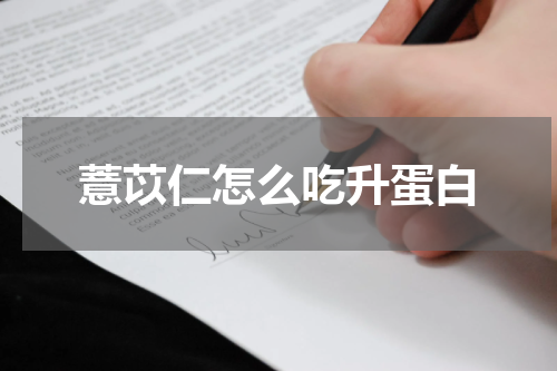 薏苡仁怎么吃升蛋白