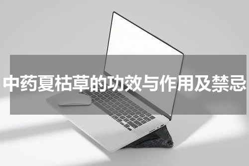 中药夏枯草的功效与作用及禁忌