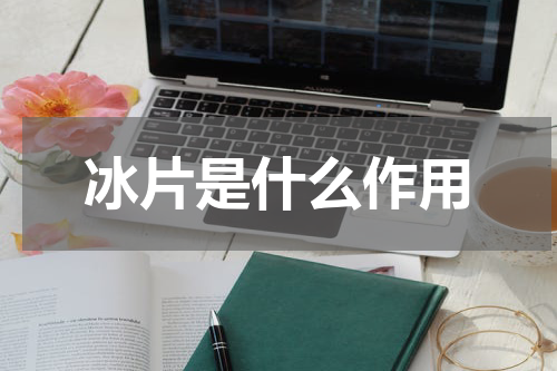 冰片是什么作用