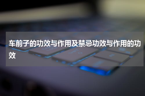 车前子的功效与作用及禁忌功效与作用的功效
