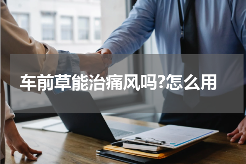 车前草能治痛风吗?怎么用