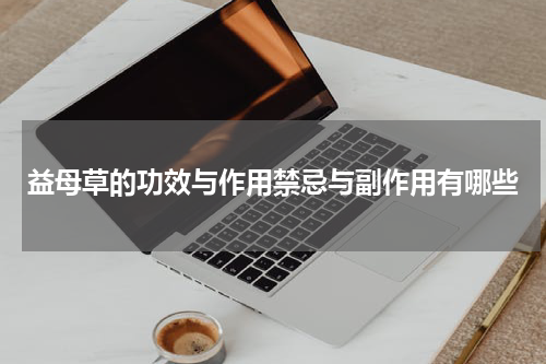 益母草的功效与作用禁忌与副作用有哪些