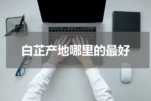 白芷产地哪里的最好