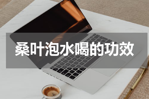 桑叶泡水喝的功效