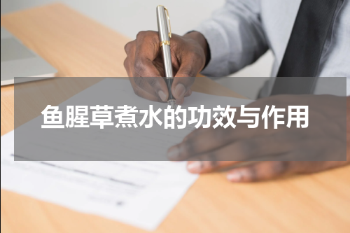 鱼腥草煮水的功效与作用