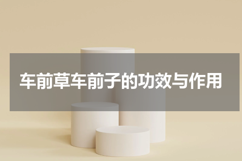车前草车前子的功效与作用