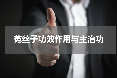 菟丝子功效作用与主治功
