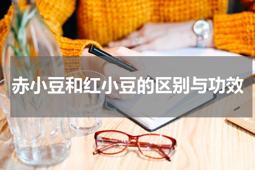赤小豆和红小豆的区别与功效