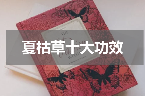 夏枯草十大功效