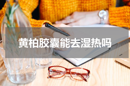 黄柏胶囊能去湿热吗