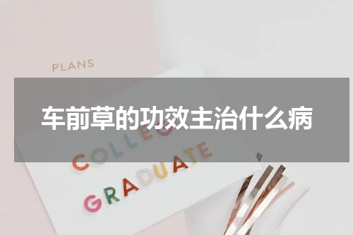 车前草的功效主治什么病