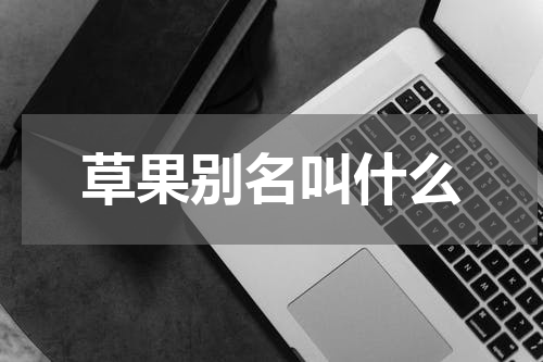 草果别名叫什么