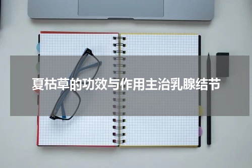 夏枯草的功效与作用主治乳腺结节