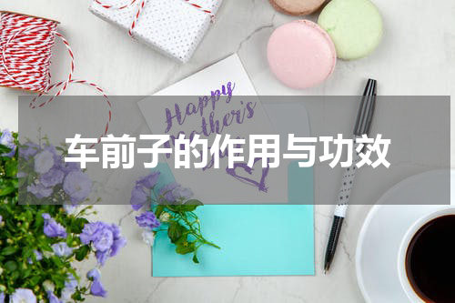 车前子的作用与功效