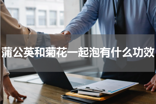 蒲公英和菊花一起泡有什么功效