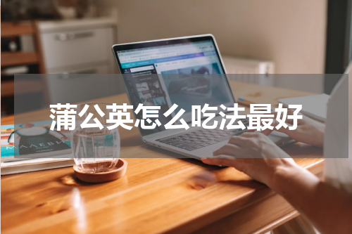 蒲公英怎么吃法最好