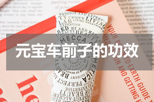 元宝车前子的功效